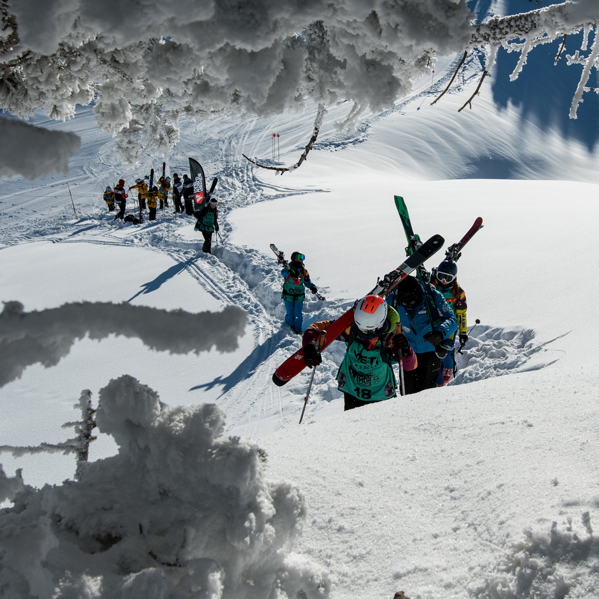 FREERIDE WORLD TOUR QUALIFIER & JUNIOR CALENDARS ANNOUNCED Forecast Ski