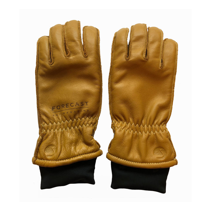 WIN THE SWANY x FORECAST COLLAB GLOVE!