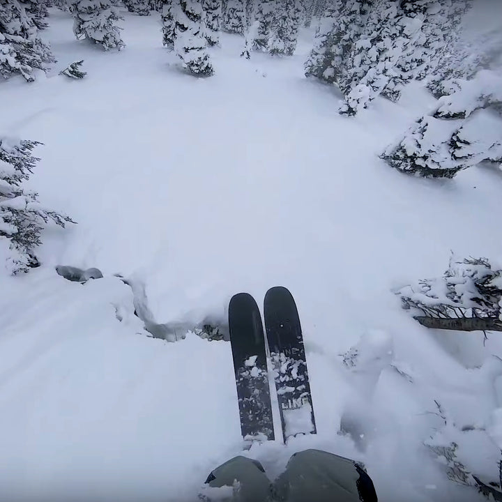 DYLAN SIGGERS - CMH HELI-SKIING POV EDIT