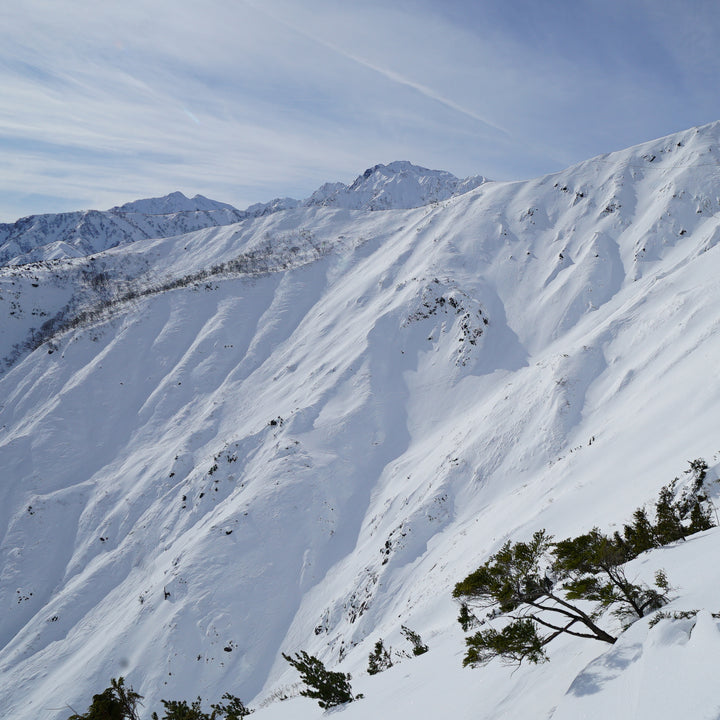 FREERIDE WORLD TOUR HAKUBA BROADCAST