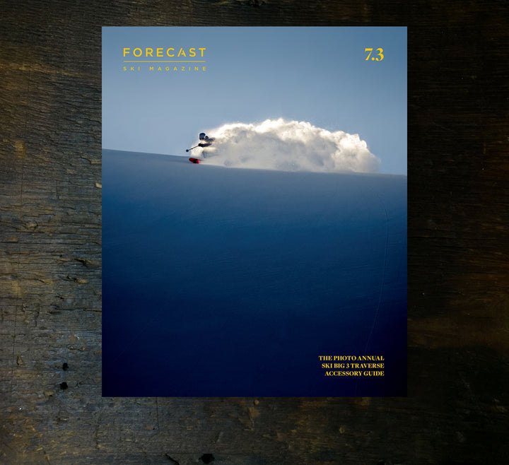 FORECAST ISSUE 7.3