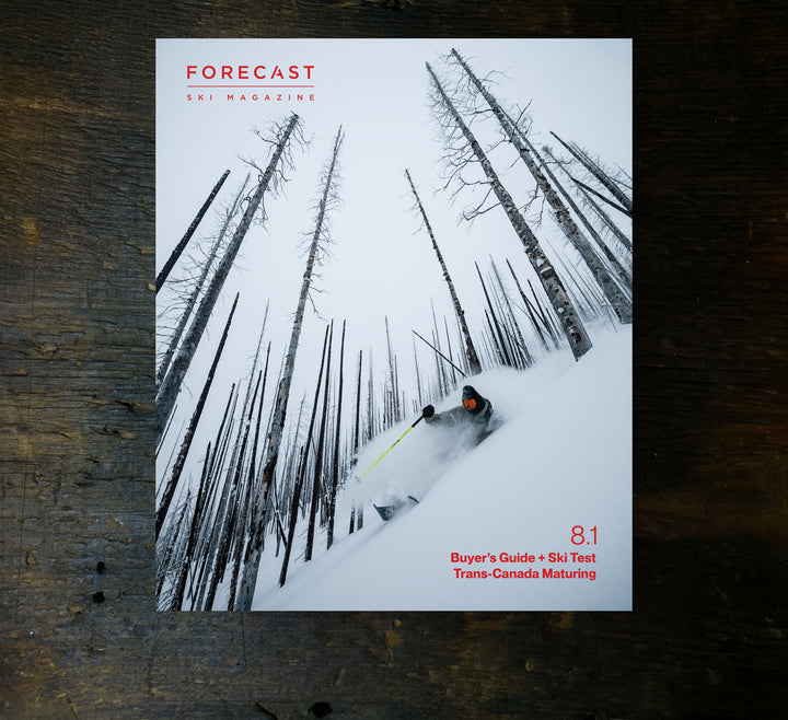 FORECAST ISSUE 8.1