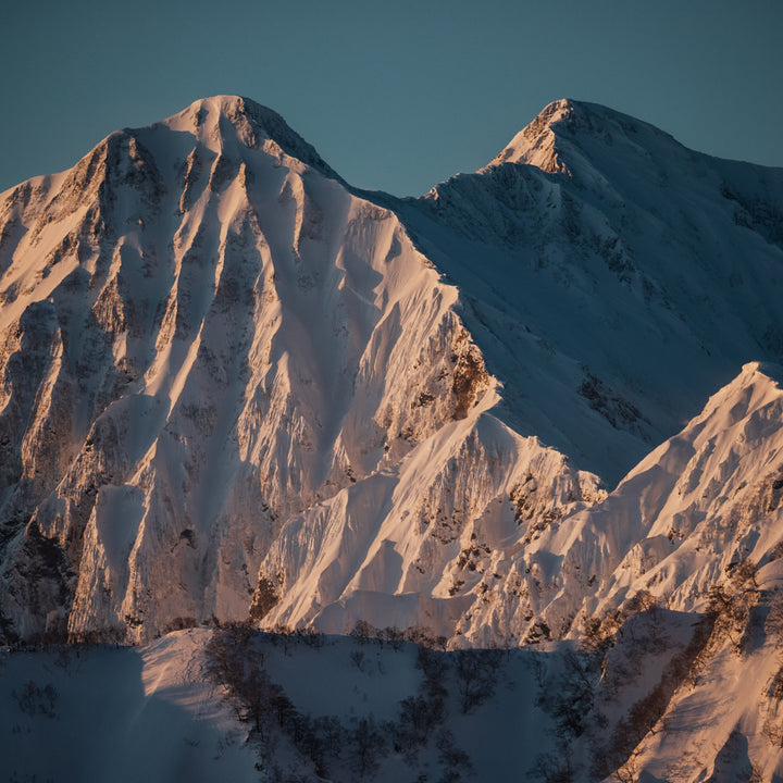 FREERIDE WORLD TOUR 2021 TRAILER & CALENDAR