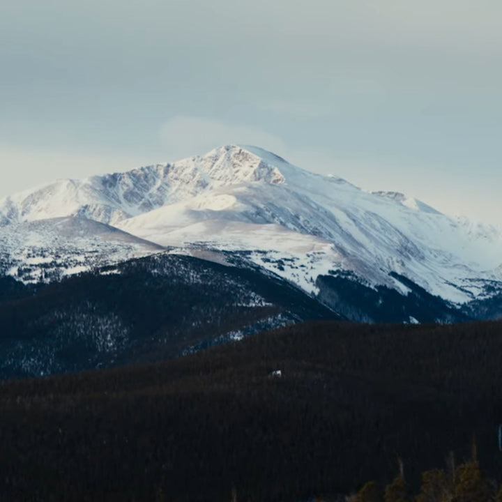 MY IKON: MY CONNECTION