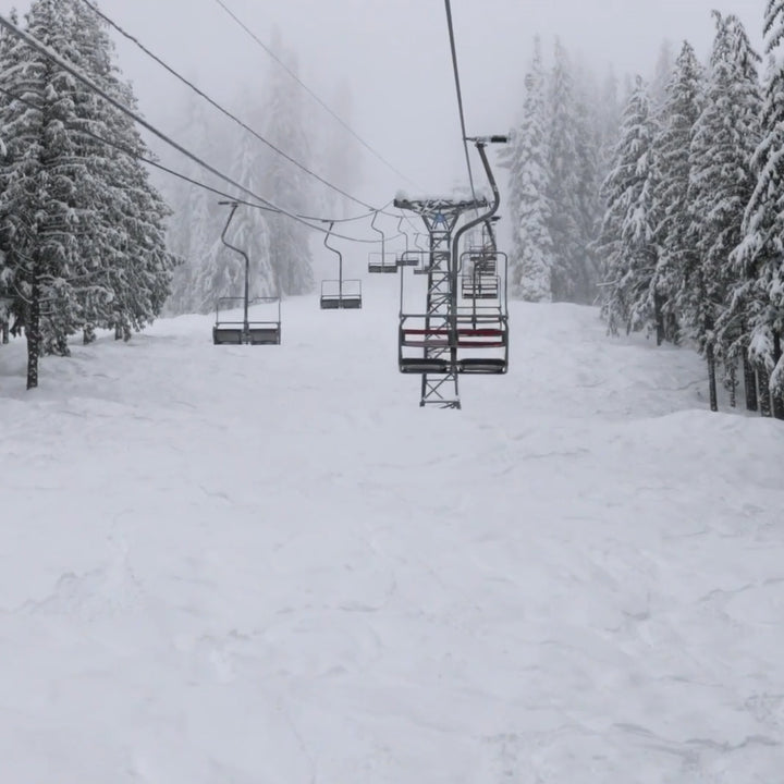 RED CHAIR DIARIES - COLSTON VB