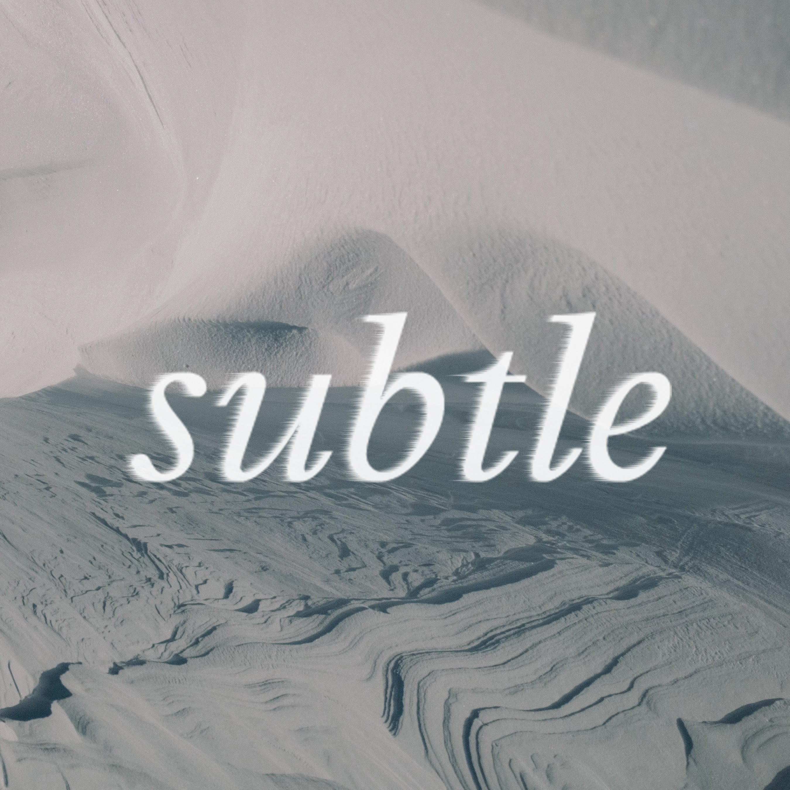 Delilah Cupp & Celeste Pomerantz - Subtle – Forecast Ski