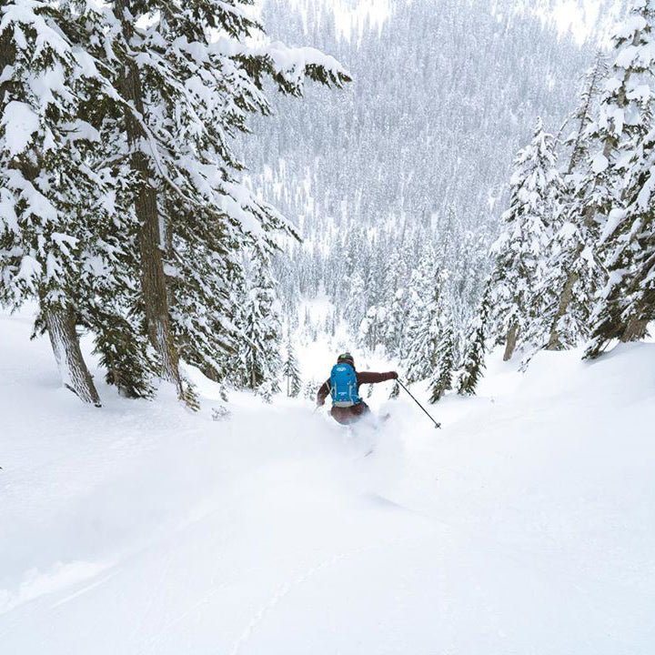 DOG DAYS OF WINTER WITH YUKI TSUBOTA