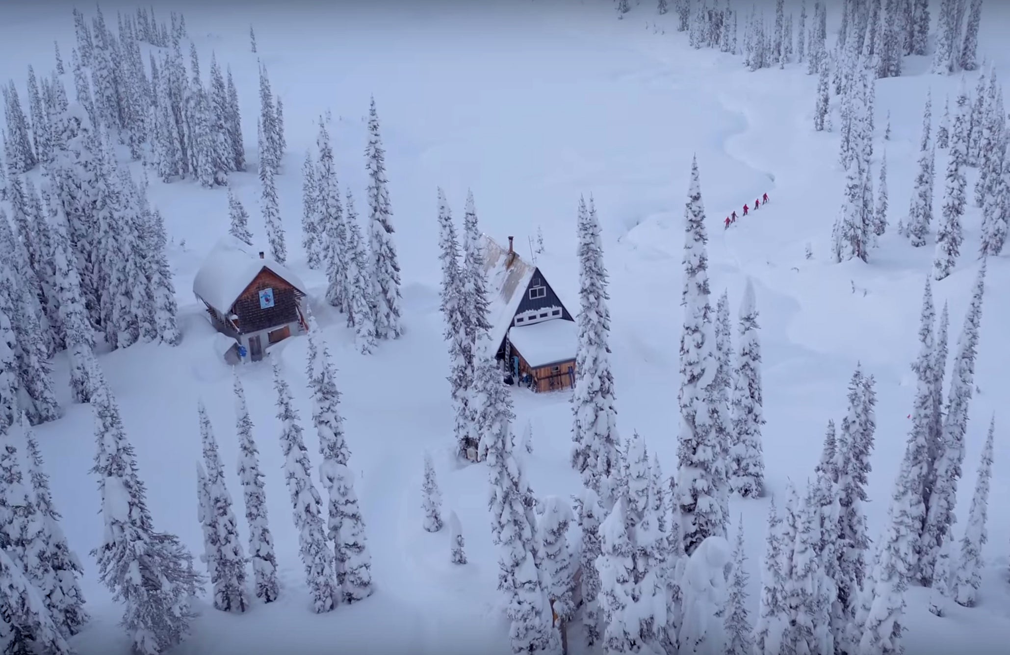 Eh Frame EH FRAME – Forecast Ski