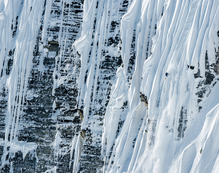 FORECAST ISSUE 4.2 PREVIEW