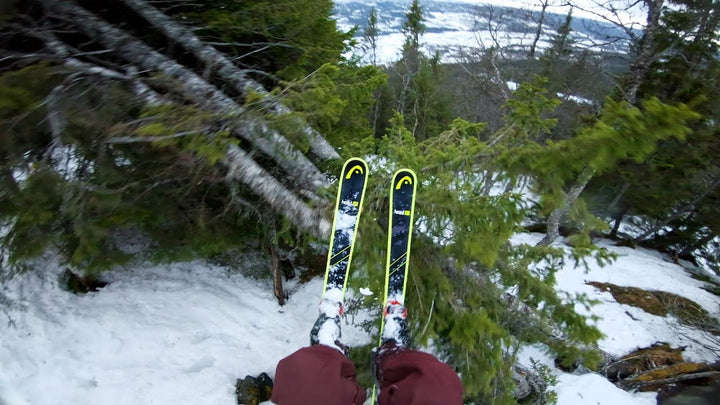 JESPER TJADER&#039;S FOREST