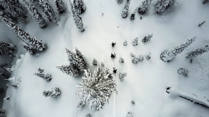 KOOTENAY PASS WITH LIBERTY SKIS