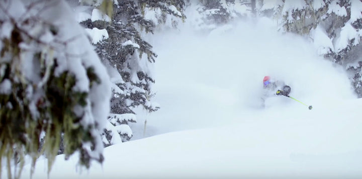 MSP&#039;S DROP EVERYTHING: POWDER SEGMENT