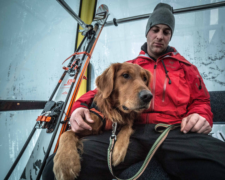 SKI TOWN DOG OWNERSHIP