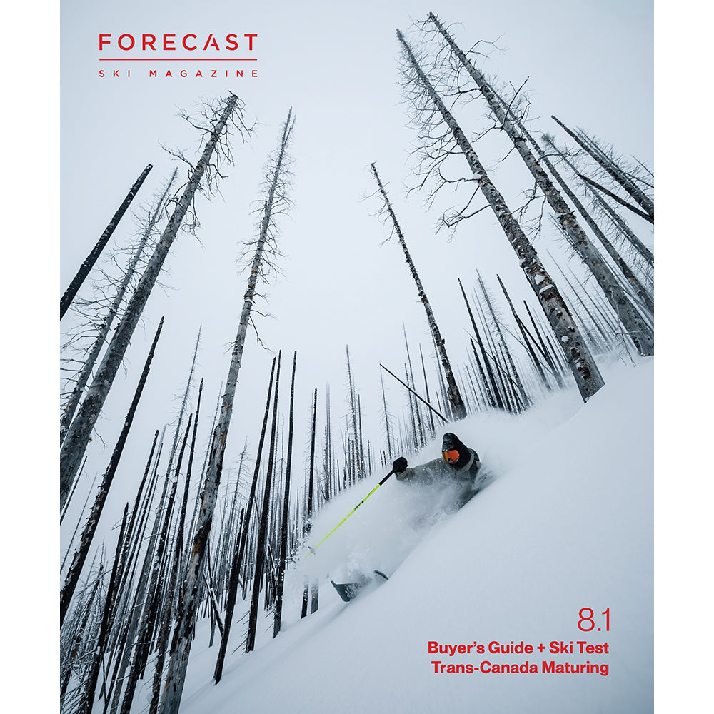Issue 8.1 Cover - Store